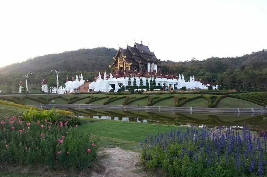 CMLocals Chiang Mai Locals Blacklist Status immigration record official documentation